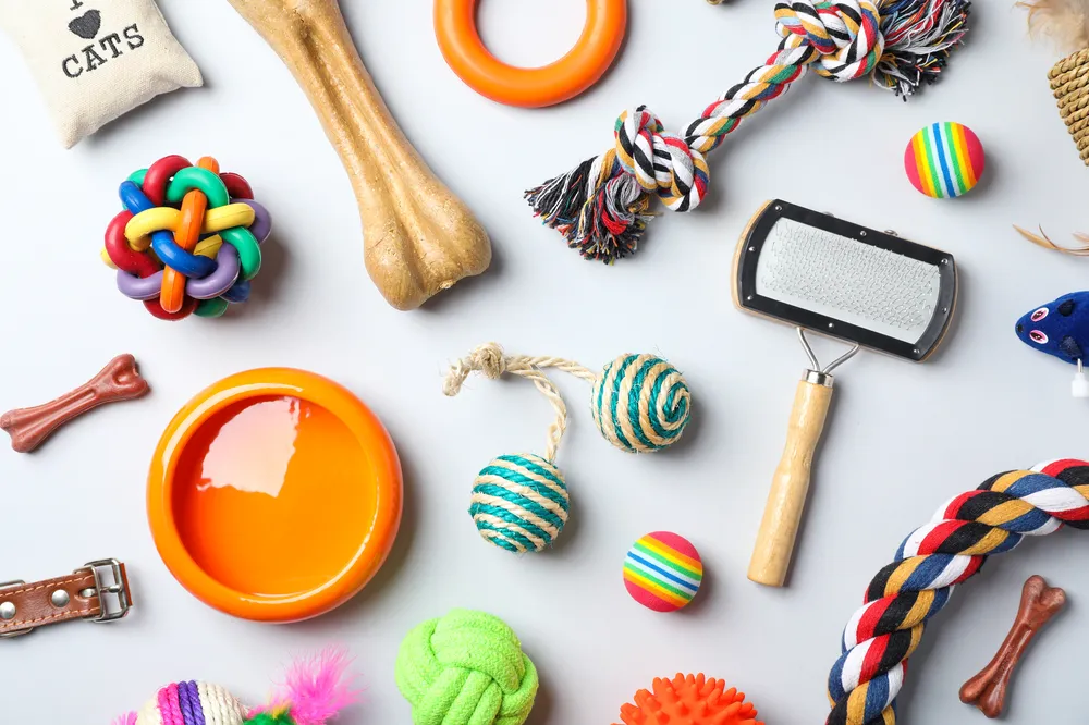 Pet accessories by anthem branding