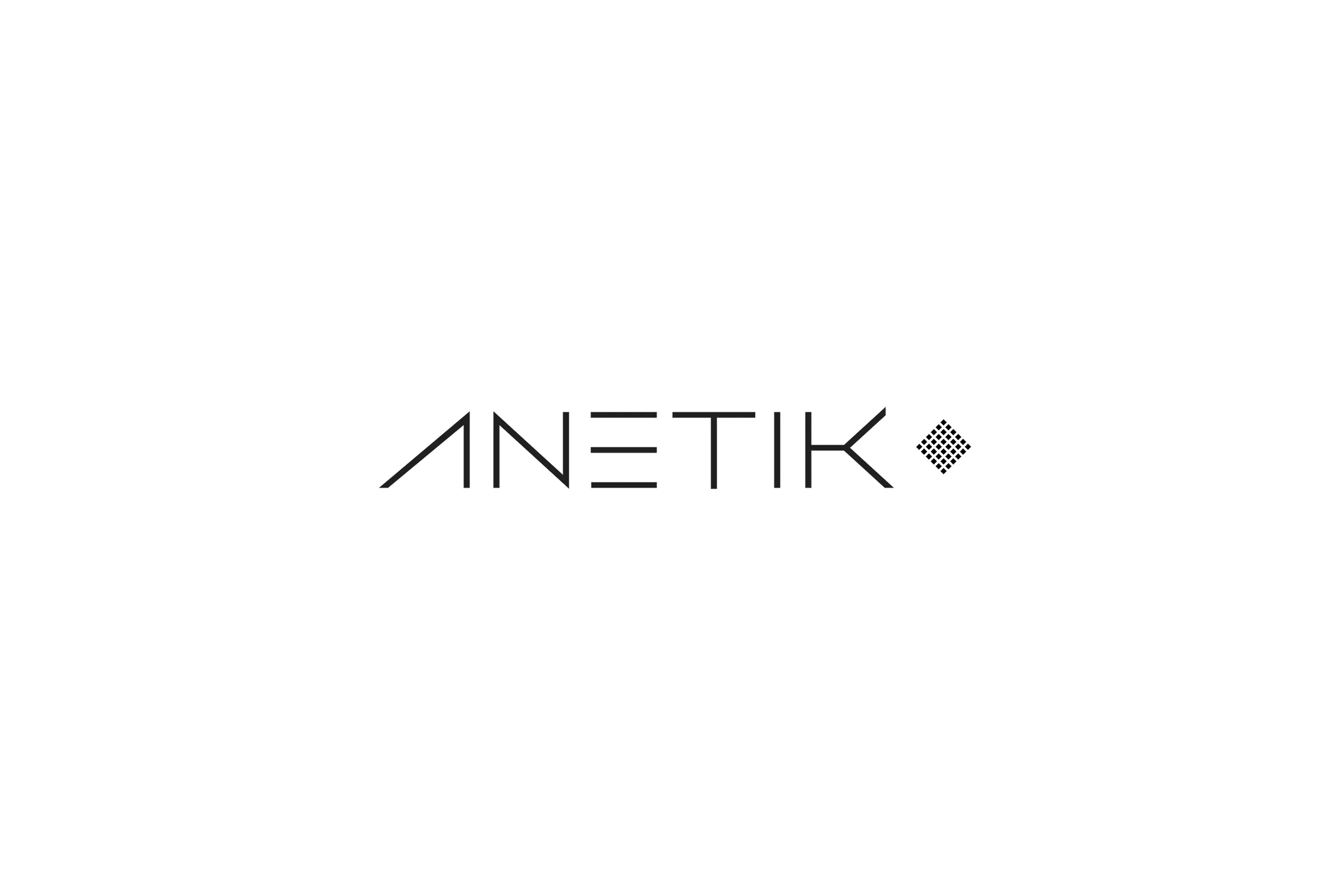 Anetik logo jpg