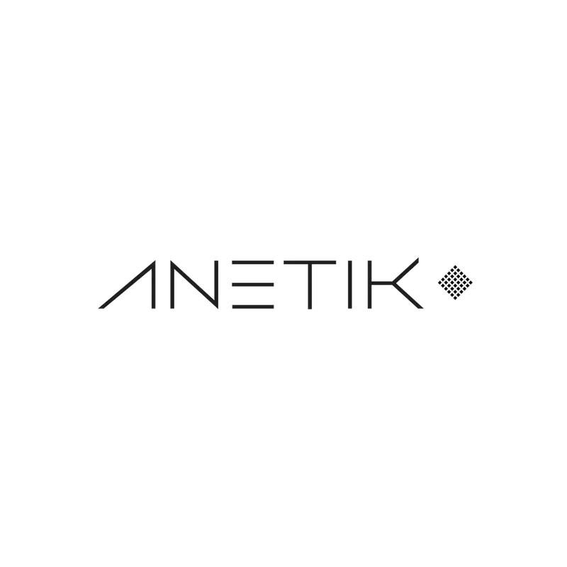 Anetik logo png