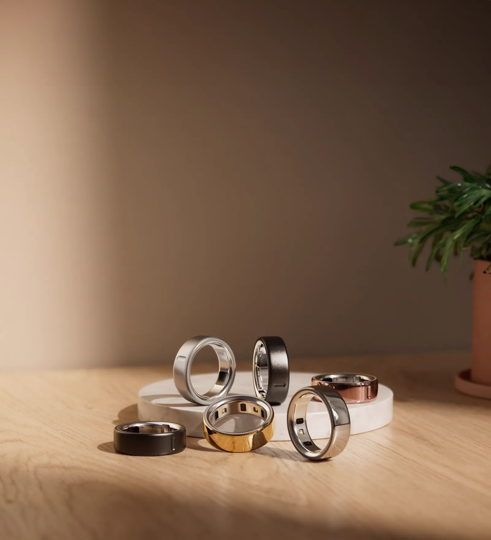 42c80d8f43e7b220f9f447d26093