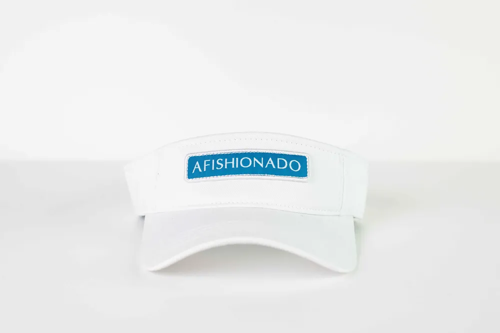 Visor 1