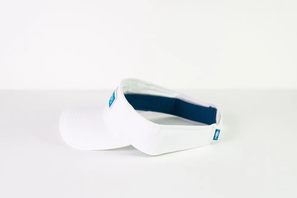 Visor 2