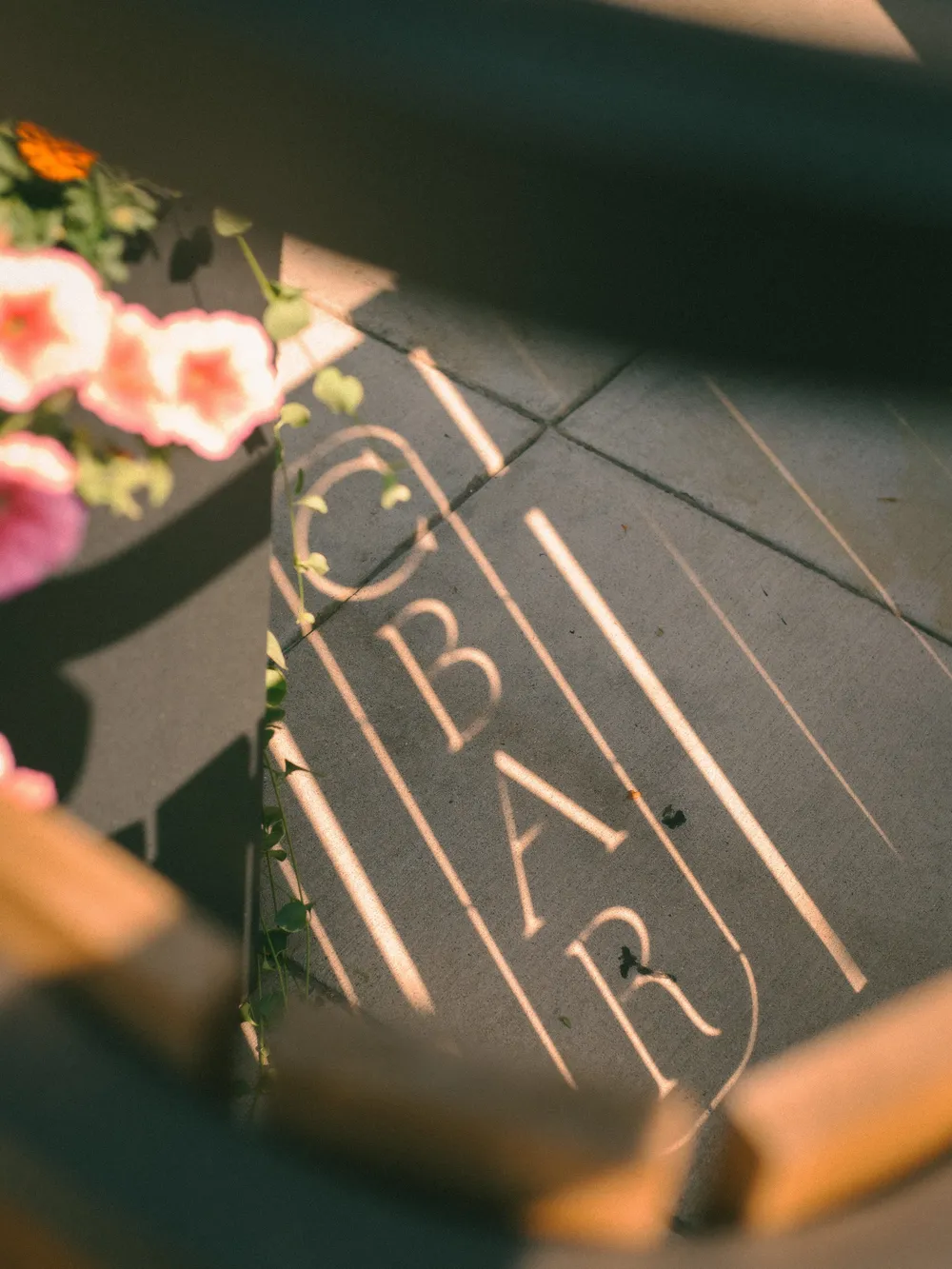C bar branding by anthem branding 18