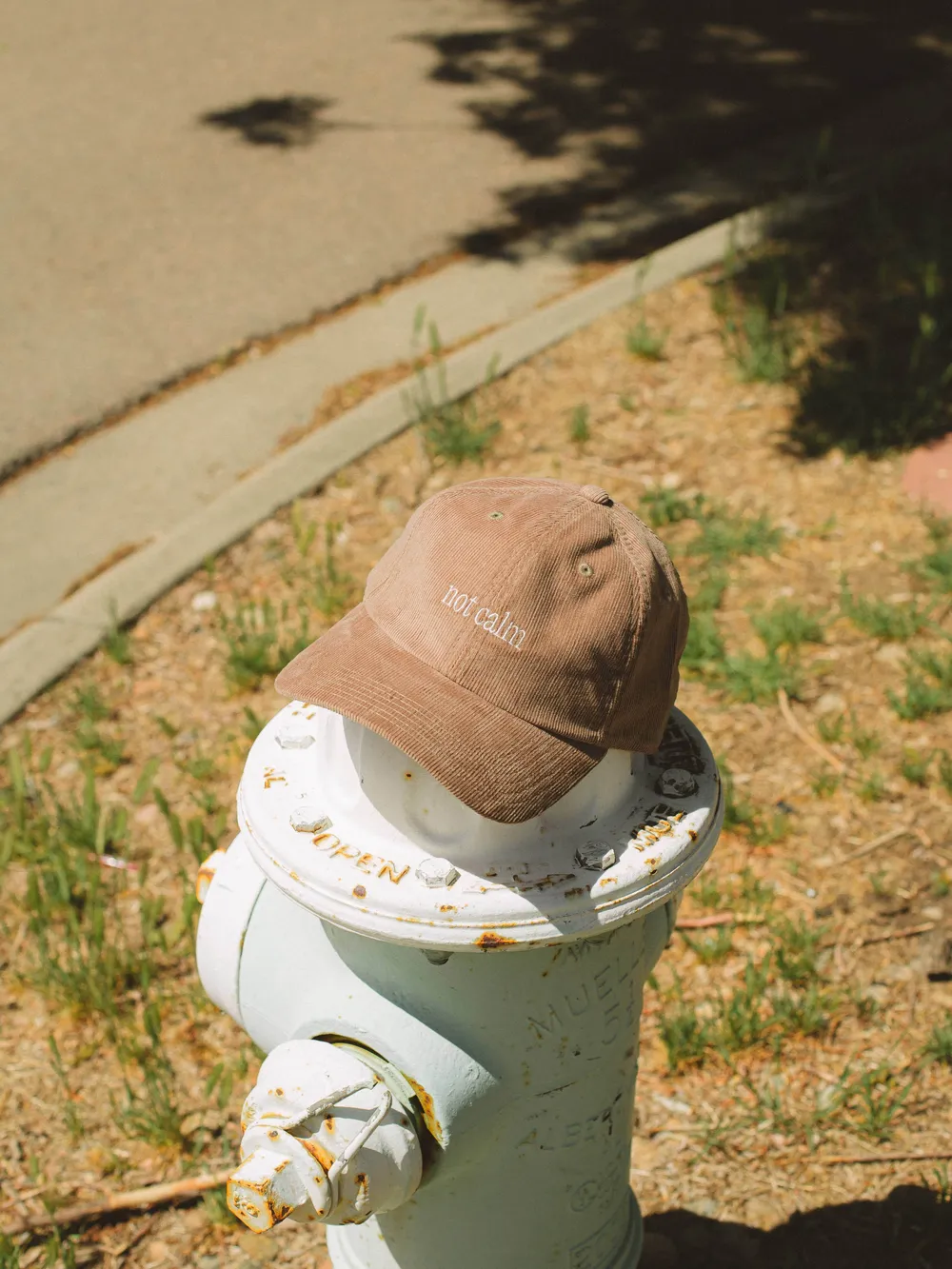 Calm khaki corduroy dad hat by anthem branding 6