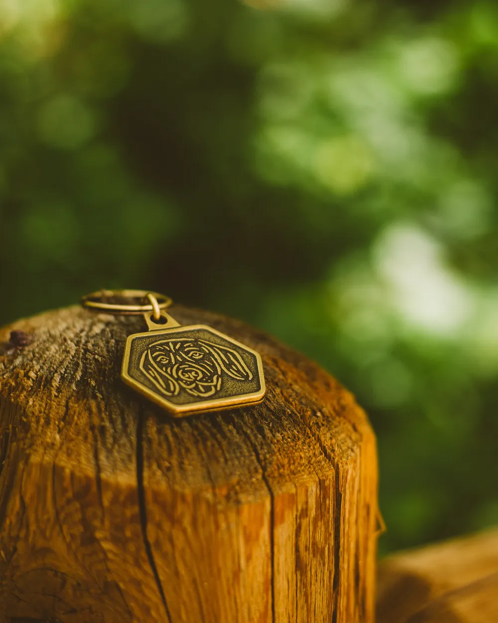 Dogwalkers keychain