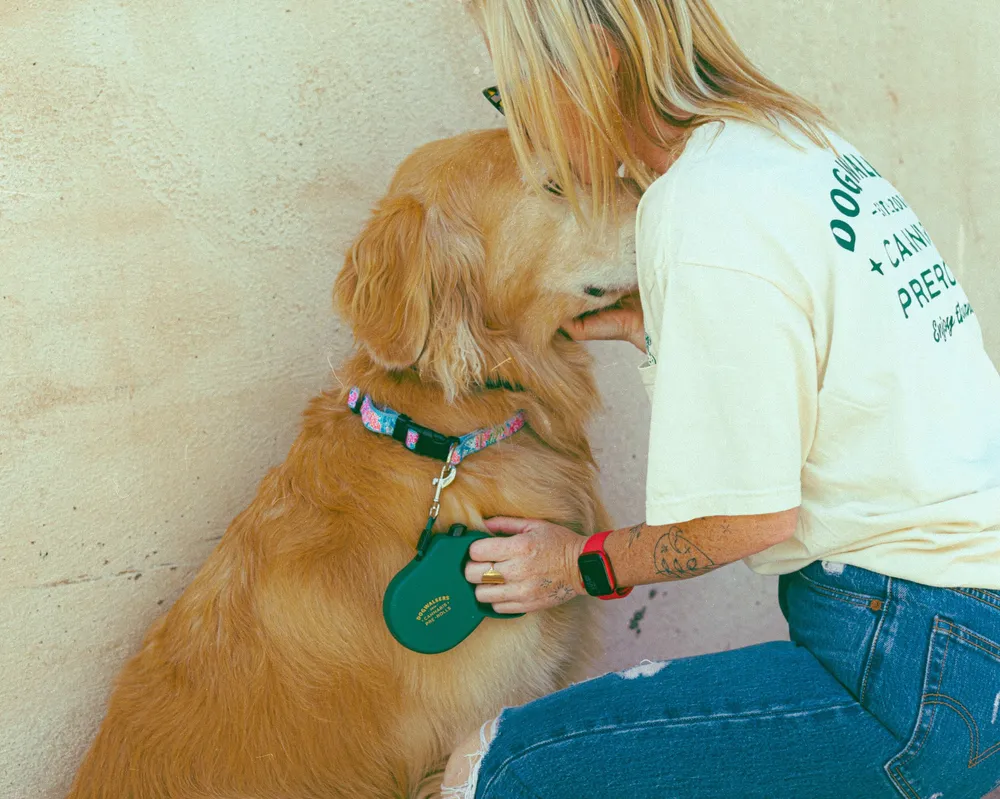 Dogwalkers T Shirt and Leash by Anthem Branding 8