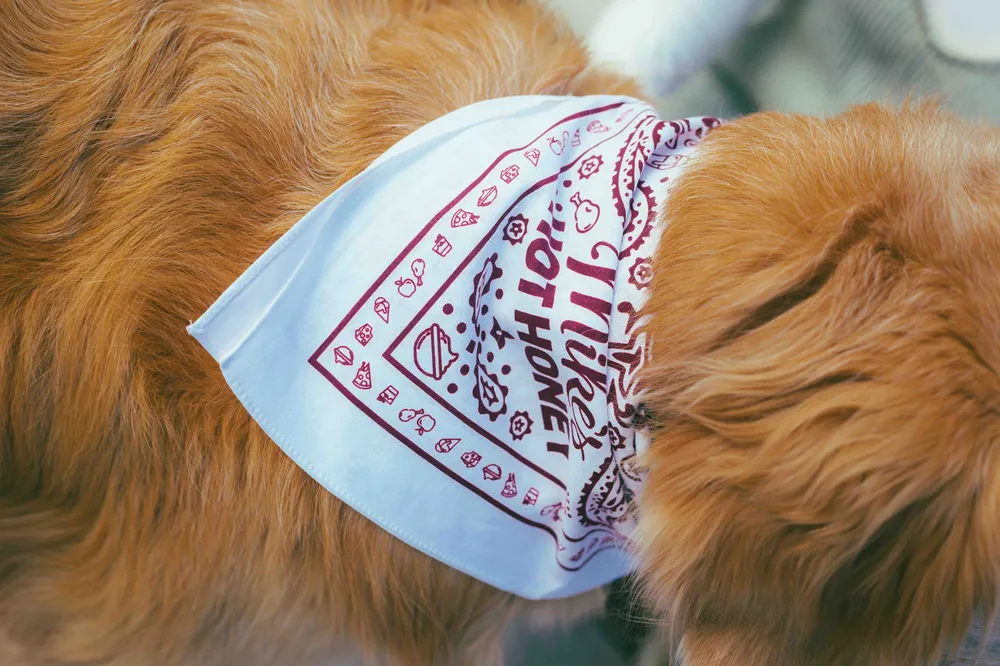 Mikes hot honey bandana by anthem branding 3 1