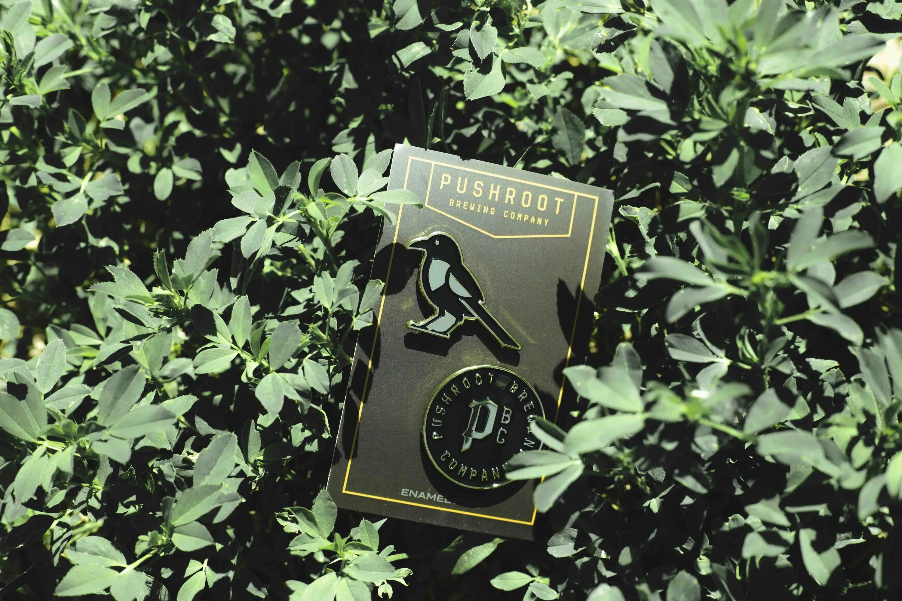 Pushroot merch collection anthem branding 20