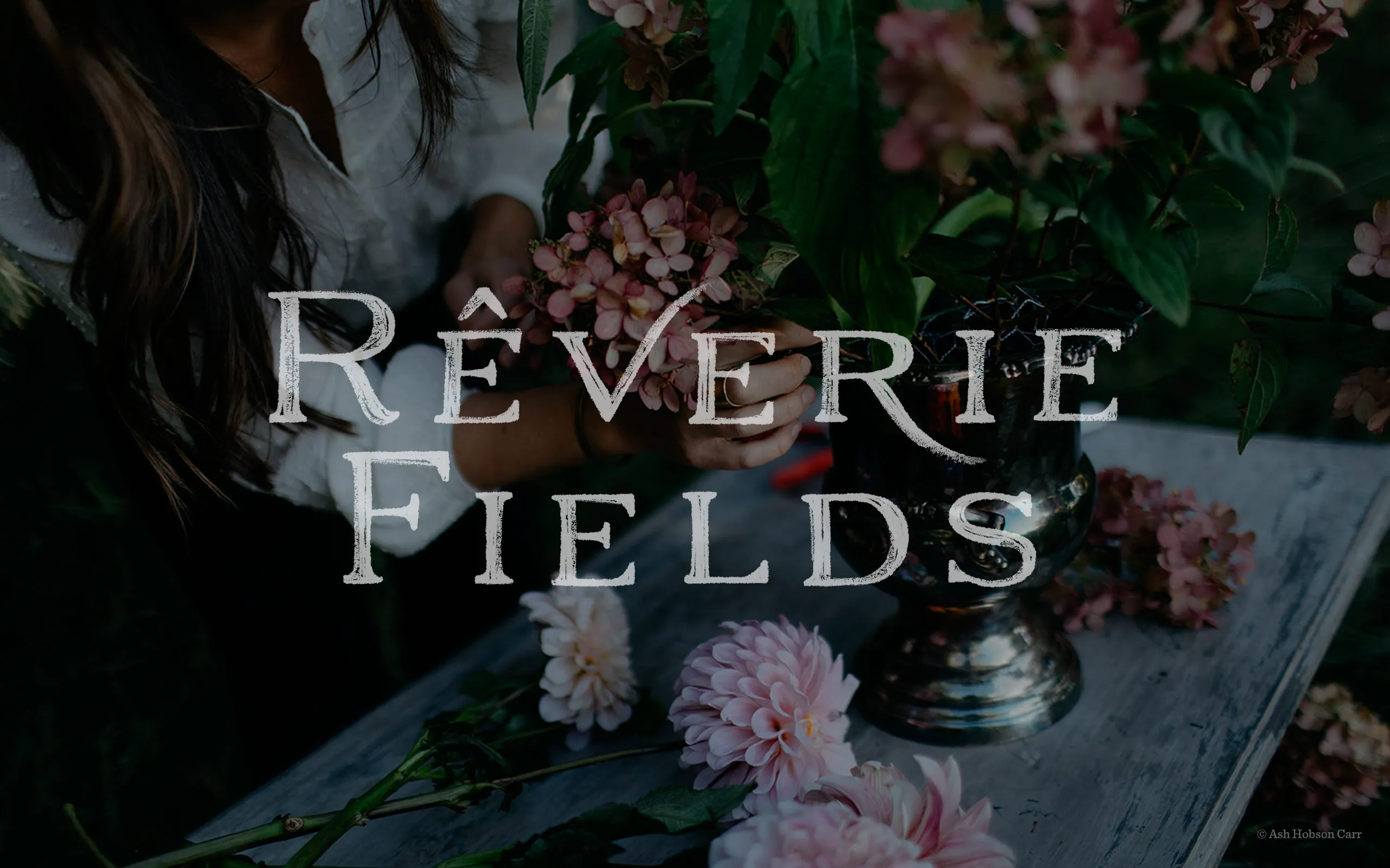Reverie Fields logo identity by anthem branding