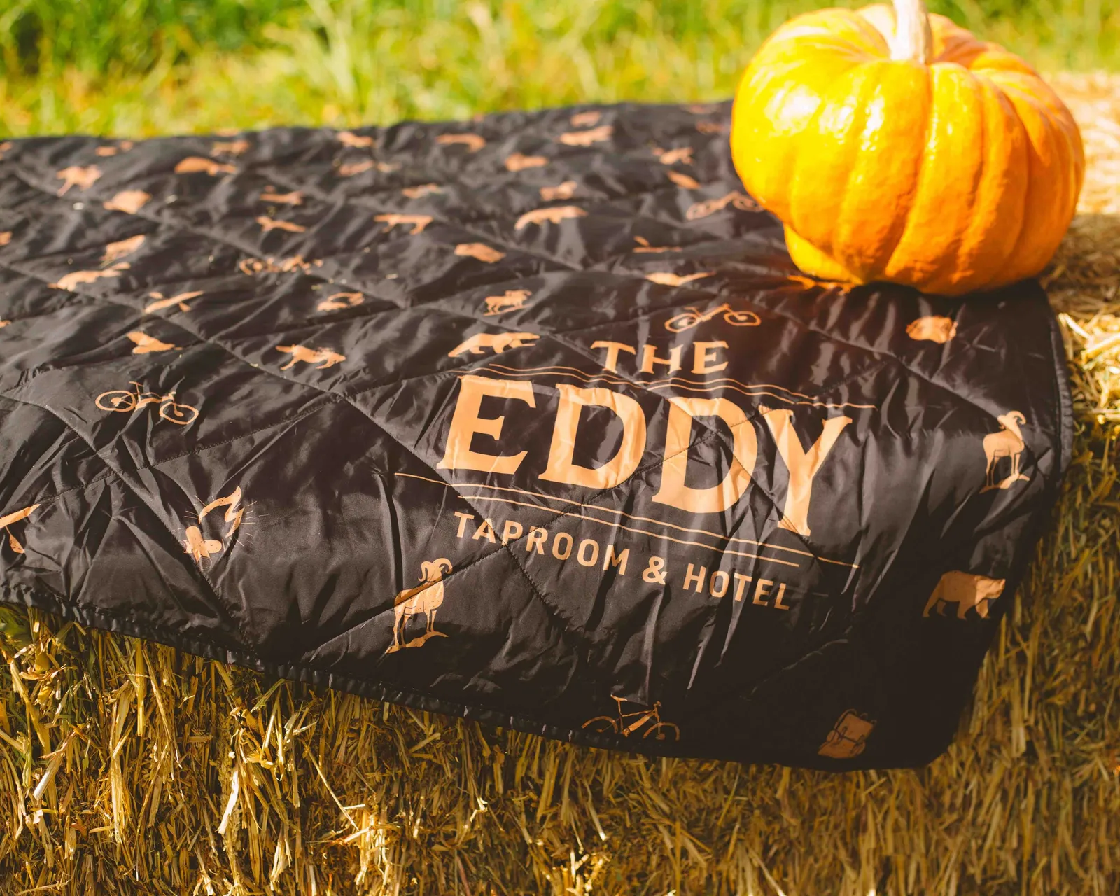 The eddy hotel and taproom blanket by anthem branding 2