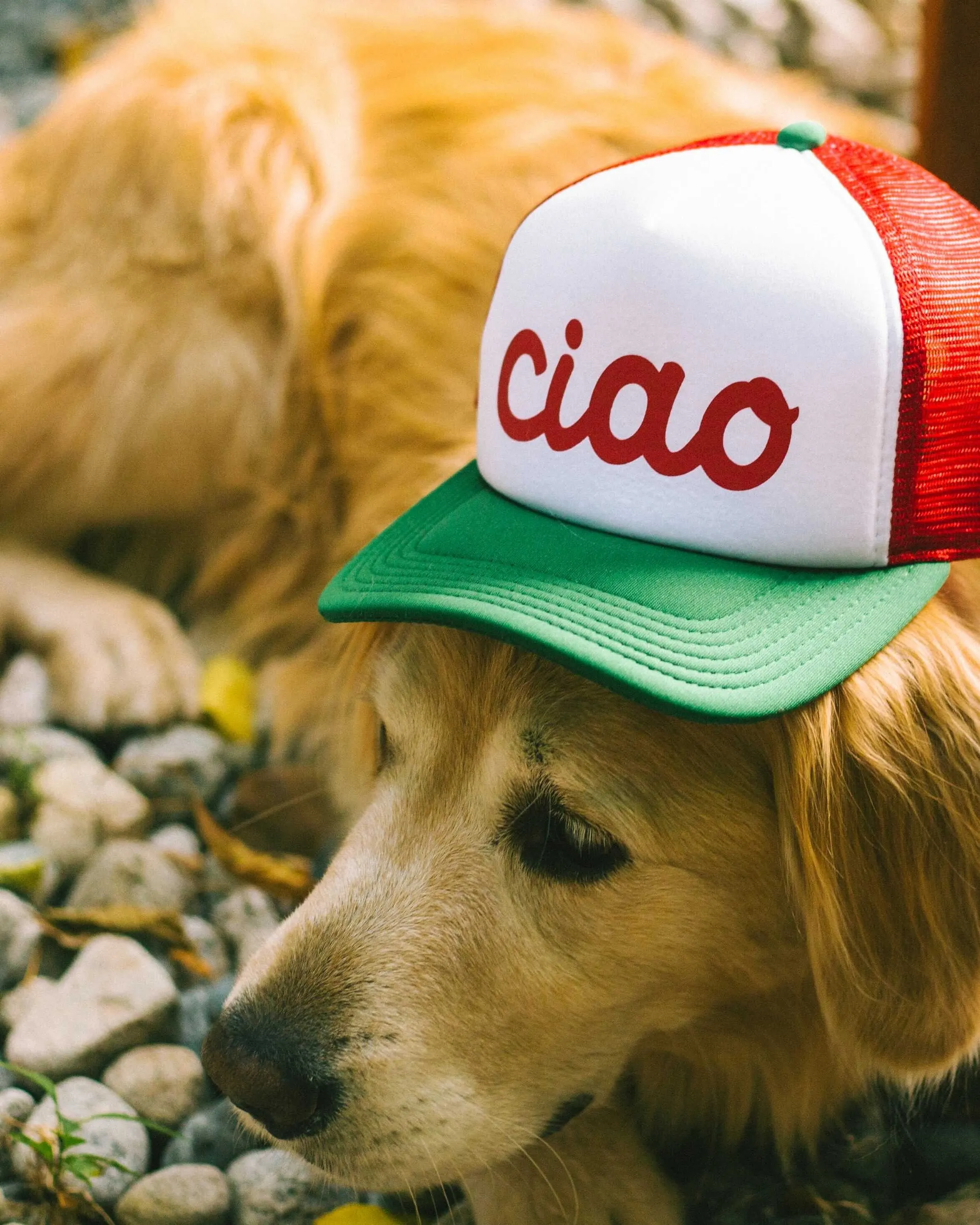 Ciao White Red Green Foam 5 Panel Curved Brim Mesh Trucker Hat by Anthem Branding