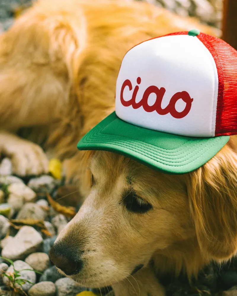 Ciao White Red Green Foam 5 Panel Curved Brim Mesh Trucker Hat by Anthem Branding