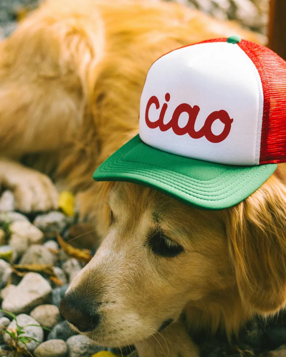 Ciao White Red Green Foam 5 Panel Curved Brim Mesh Trucker Hat by Anthem Branding