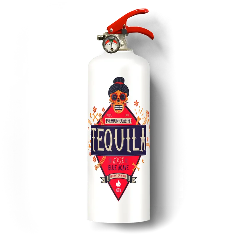 Fire extinguisher custom painted by anthem branding