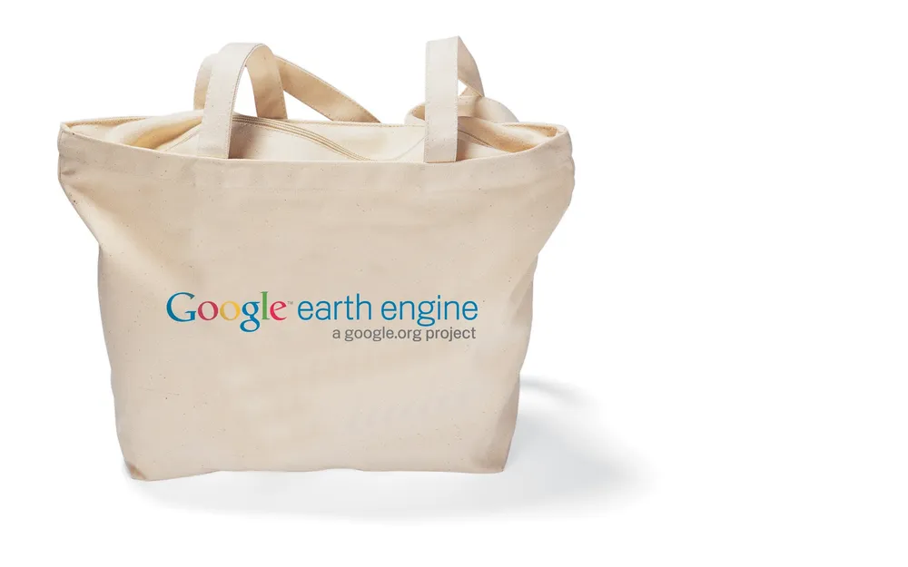 Googl Grocery Bag
