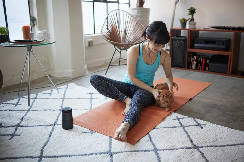 Bose speakers gropu sales by anthem branding