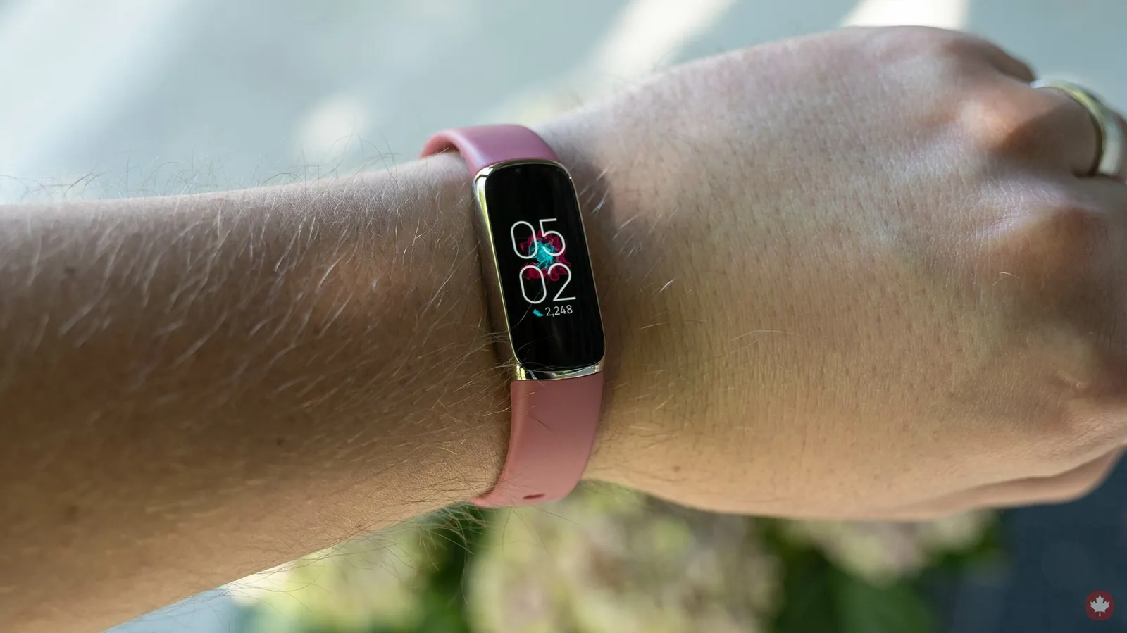 Fitbit luxe 06182021 header smallwm scaled