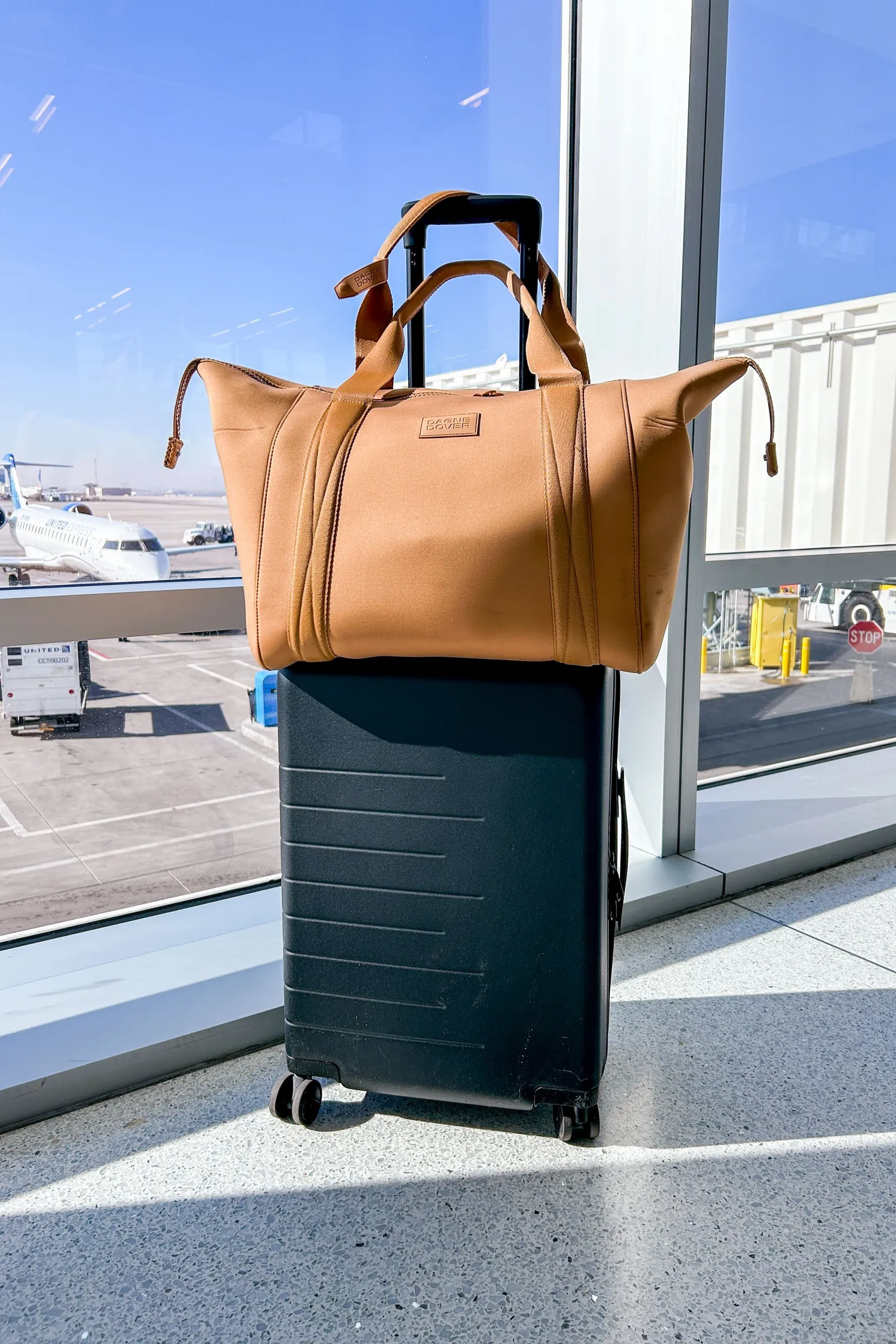 Dagne Dover Landon Carryall carry ontravelbag Cotton Cashmere Cat Hair